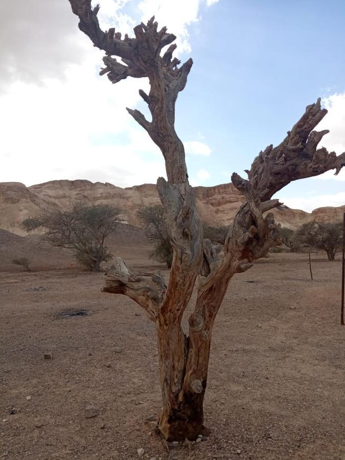 הבית החום בערבה יחידה זוגית Sappir エクステリア 写真